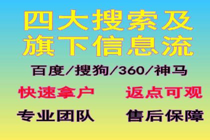案例解读：SEM代理助力电商销量翻倍